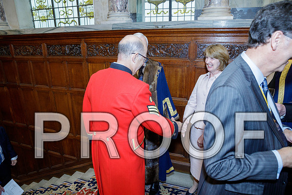 Sec Prof Installation 07-06-22 494