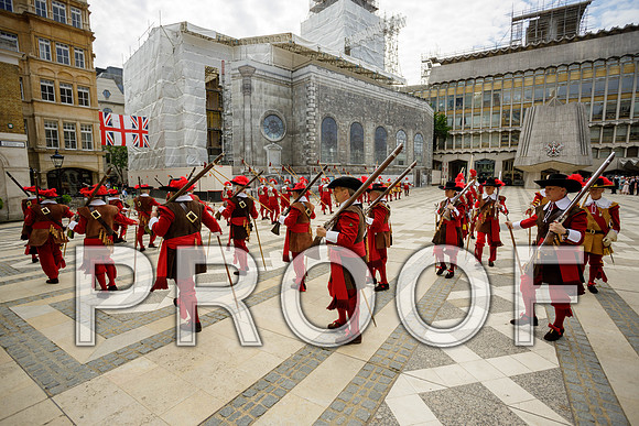 Jubilee Pikemen 03-06-22 040
