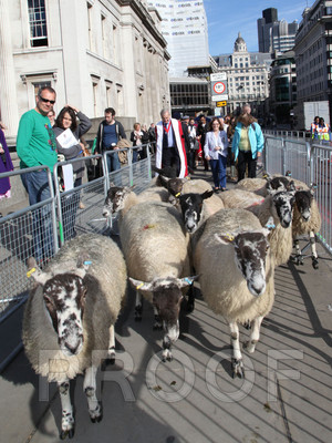 012H__237 copy