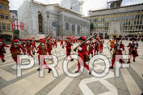 Jubilee Pikemen 03-06-22 039