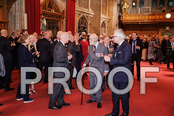 Pikemen 100th 18-03-25 078