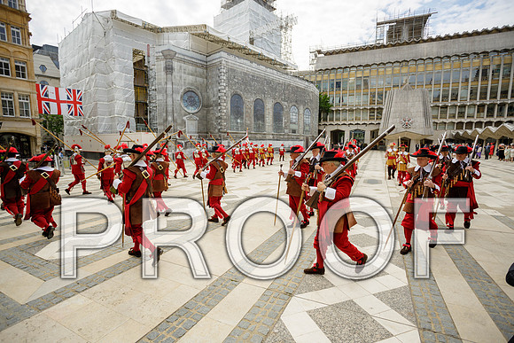 Jubilee Pikemen 03-06-22 035