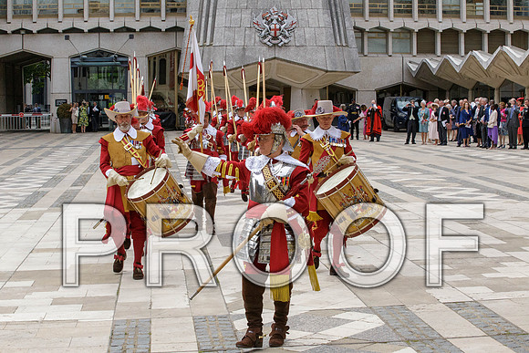 Jubilee Pikemen 03-06-22 008
