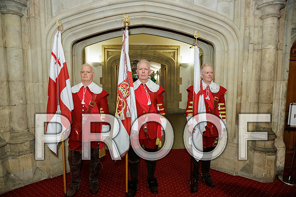 Pikemen 100th 18-03-25 040