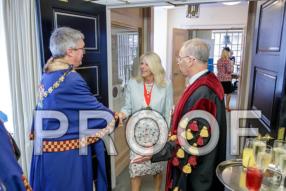 Tax Adviser Civic Lunch  92