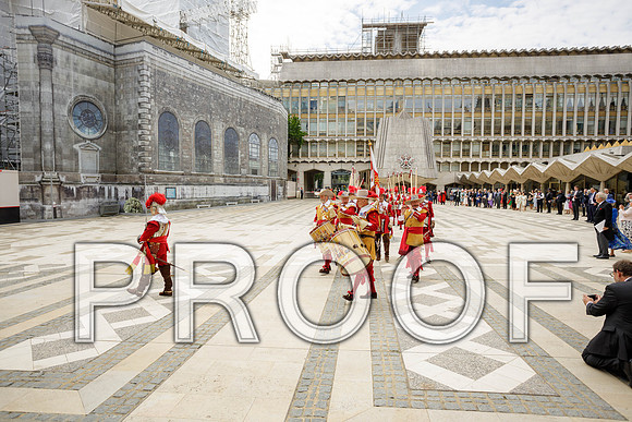 Jubilee Pikemen 03-06-22 012