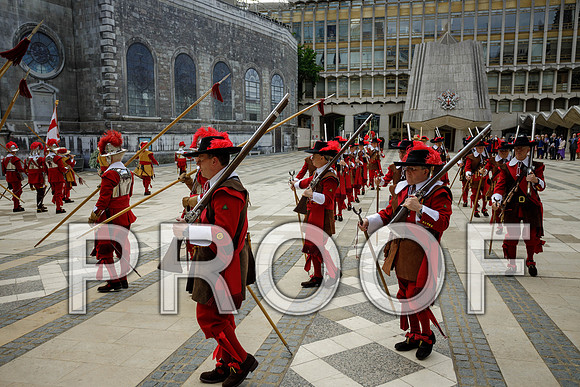 Jubilee Pikemen 03-06-22 028