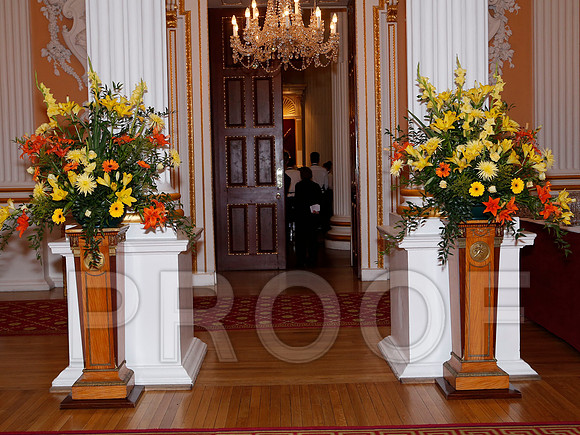 171F_223 copy