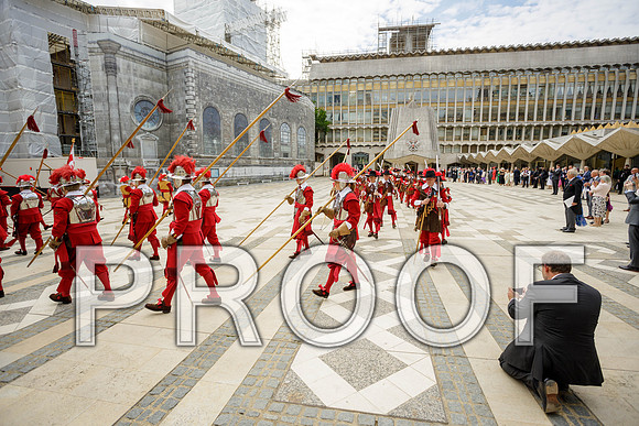 Jubilee Pikemen 03-06-22 025