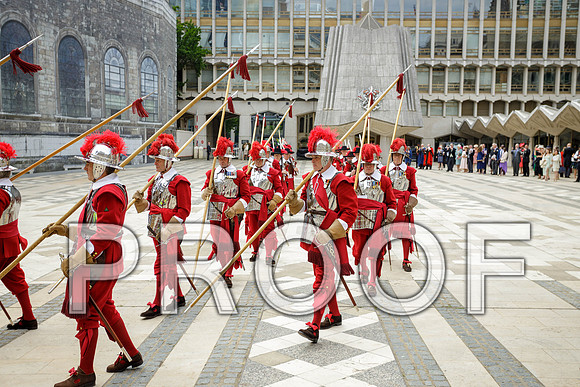 Jubilee Pikemen 03-06-22 020