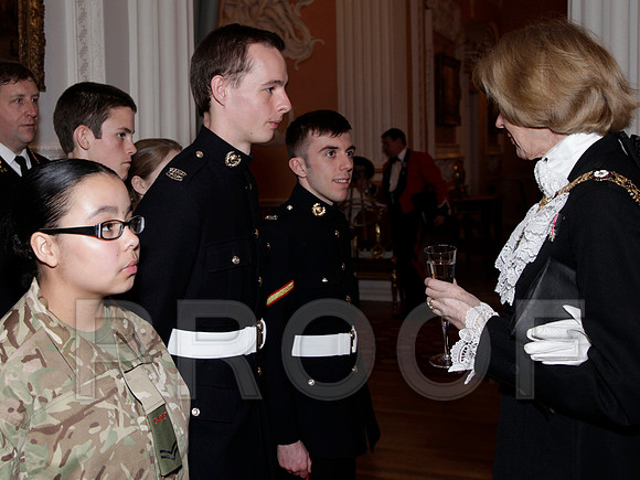 129G_239 copy