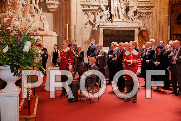 Pikemen 100th 18-03-25 144