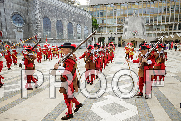 Jubilee Pikemen 03-06-22 033