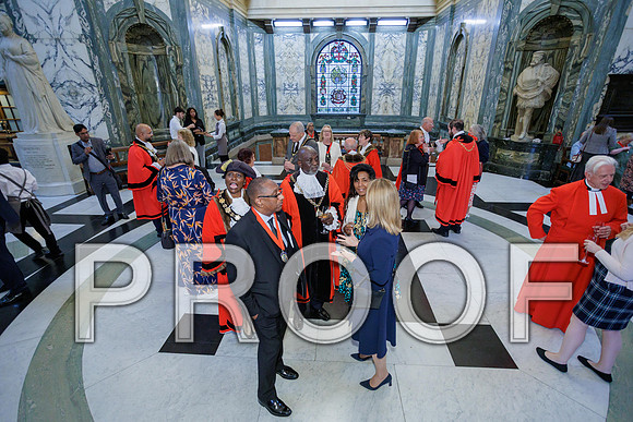 LND Borough Mayors 21-05-25 048