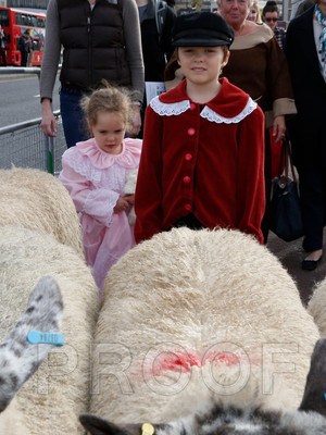 012H__1454 copy