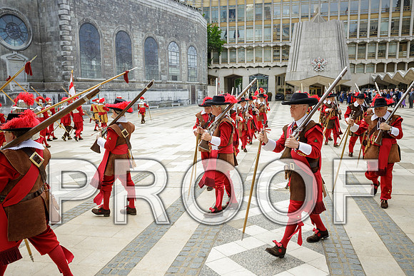 Jubilee Pikemen 03-06-22 031