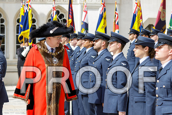 Flag Day 24-06-25 100