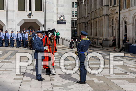 Flag Day 24-06-25 115