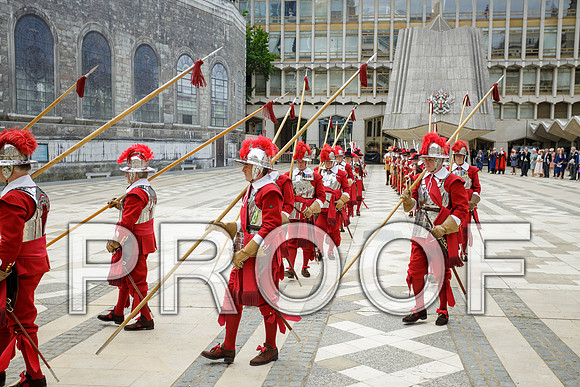 Jubilee Pikemen 03-06-22 019