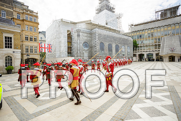 Jubilee Pikemen 03-06-22 047