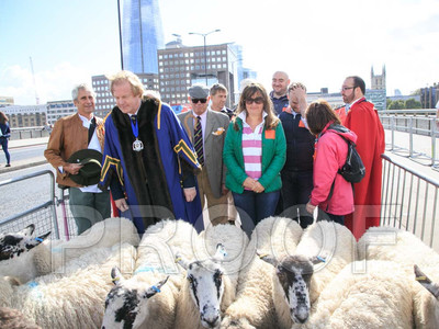 192K_RK_0391