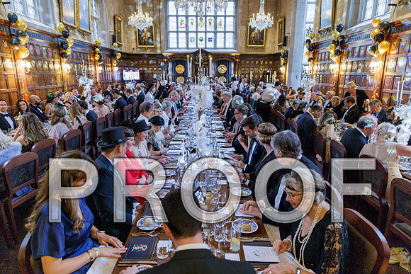 Ironmongers 100th Ball 22-05-25 299