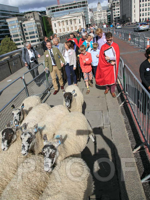 192K_RK_0303