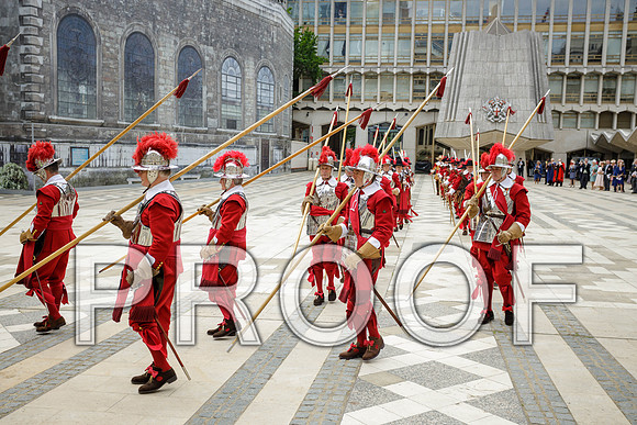Jubilee Pikemen 03-06-22 018