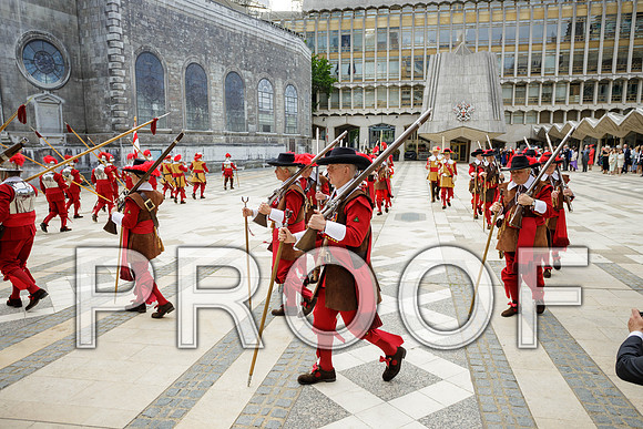Jubilee Pikemen 03-06-22 032