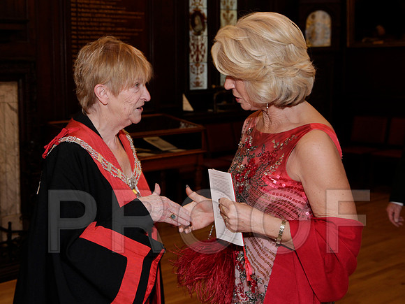 141G_088 copy