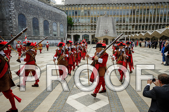 Jubilee Pikemen 03-06-22 034